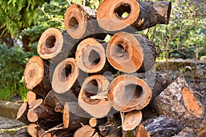 Pile of sawed trunks of garden trees.