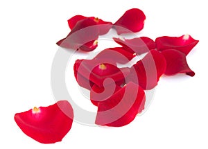 Pile of scarlet red rose petals photo