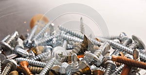 Pile of Screws