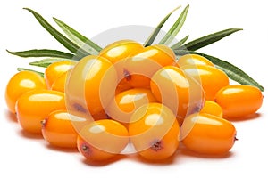Pile of sea buckthorn berries with leaves, clipping paths photo