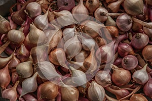 Pile of shallots presents a bountiful and aromatic culinary sight