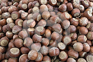 A pile of shelled hazelnuts. Dried hazelnuts background. Healthy food dried nuts.