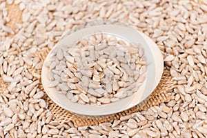 Pile of shelled sunflower seeds, isolated