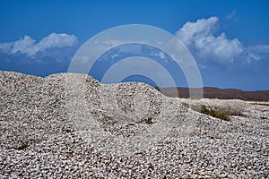 De conchas sobre el Playa 