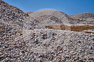 De conchas sobre el Playa 