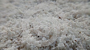 Pile of shredded coconut meat