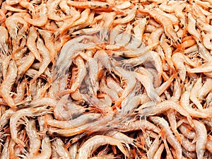 Pile of shrimp