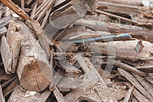 Pile of small pieces of scrap wood