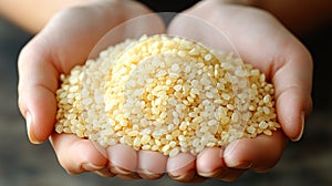 Pile of small seeds in hands