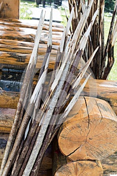 Pile of small wooden stick prepared for camp fire