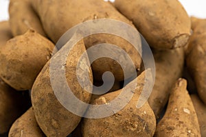 Pile of smallanthus sonchifolius or yacon or snow lotus isolated on white background