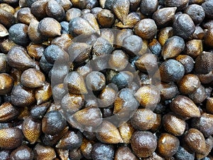 Pile of Snakefruit background, fruit texture, snakefruit