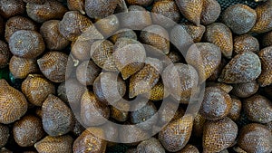 pile of snakefruit in supermarket