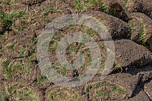 Pile of sod rolls background