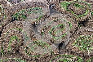 Pile of sod rolls background