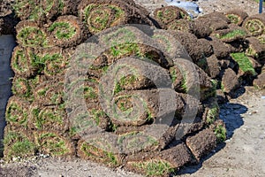 Pile of sod rolls 2