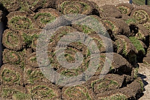 Pile of sod rolls