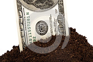 Pile of Soil and Dollar Bill