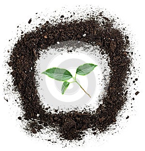 Pile of soil and green plant isolated on white background, top view. Fertile ground, gardening concept