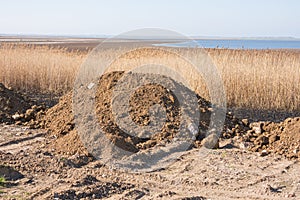 Pile soil intended for sleep swamp