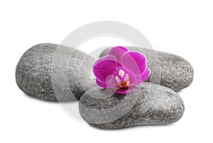 Pile of spa stones and orchid  on white background