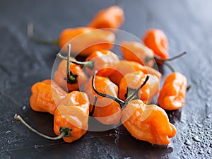 Pile of spicy habanero peppers photo