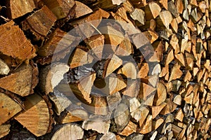 Pile of Split Fire Wood