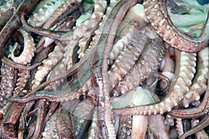 Pile of squid tentacles on ice, a slender flexible limb or appendage in an animal.