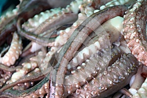 Pile of squid tentacles on ice, a slender flexible limb or appendage in an animal.