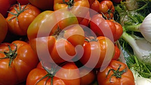 Pile or Stack of Fresh Tomatoes