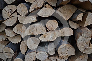 Pile of stacked firewood in rural garden ready for winter. Preparation for the winter. Wooden log abstract background. Dry chopped