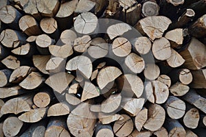 Pile of stacked firewood in rural garden ready for winter. Preparation for the winter. Wooden log abstract background. Dry chopped