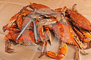 Pile of steamed and seasoned Colossal chesapeake blue crabs