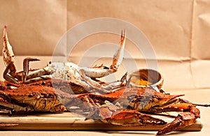 Pile of steamed and seasoned Colossal chesapeake blue crabs