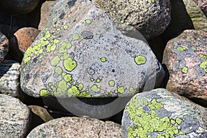 Pile of stone with lichen
