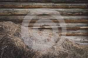 A pile of straw against a wooden wall. The old barn wall. Rustic background with a place to record