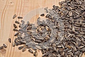 Pile of striped sunflower seeds dried on a wooden background. Co