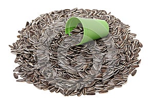 Pile of sunflower seed