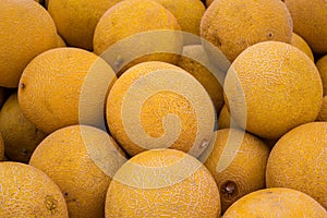 Pile of sweet melons ,