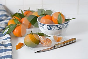 Pile of tangerines on the kitchen table