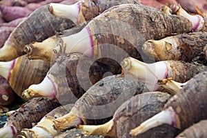 Pile of taro for retail sale in local market.