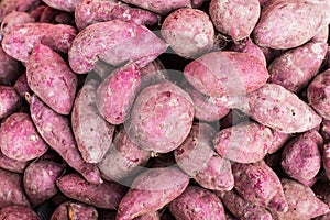 pile of taro for retail sale in local market. background of fresh taro.