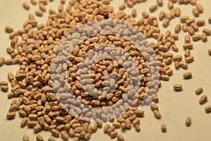 Pile of termite droppings