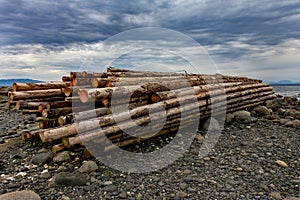 Log Pile at Low Tide on Sandpiper Beach
