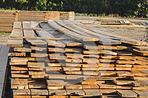 pile of timber made of pine trees