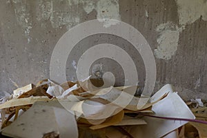 A pile of torn off wallpaper on a background of a concrete wall Repair, removal of old wallpaper