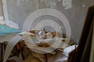 A pile of torn off wallpaper on a background of a concrete wall Repair, removal of old wallpaper