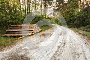 Pile of tree boles lays by the forest road photo