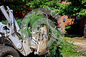 Pile tree branches in the city street removal of branch removal in tractor bucket