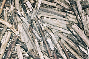 Pile of tree branches composition as a background texture. broken twigs on forest floor.